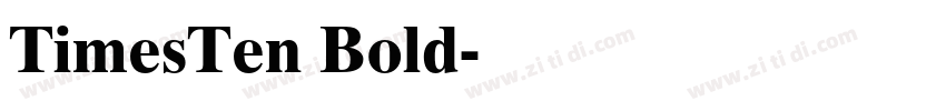 TimesTen Bold字体转换